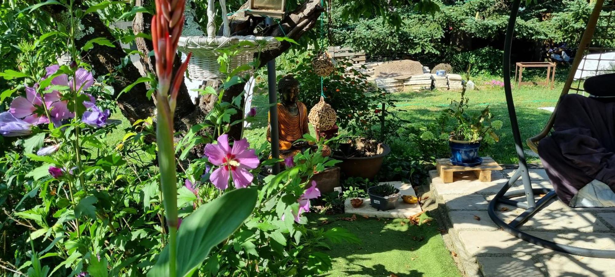 L'olivier Chez Mame Marthe Holiday home *